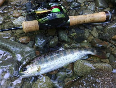増水した渓でアマゴ釣り